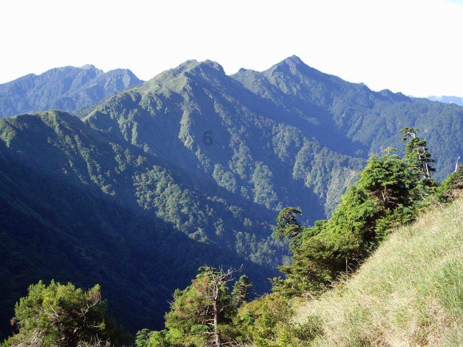 越野车涂颜色